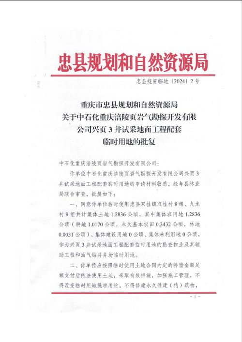 选择专业、诚信的重庆忠县房贷平台策略解析(重庆忠县房产网)